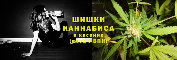 шишки Волоколамск