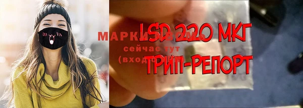 крисы Вязьма