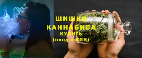 крисы Вязьма