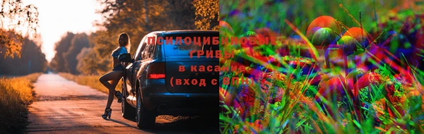 шишки Волоколамск