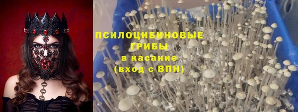 крисы Вязьма
