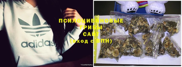 МДПВ Волосово